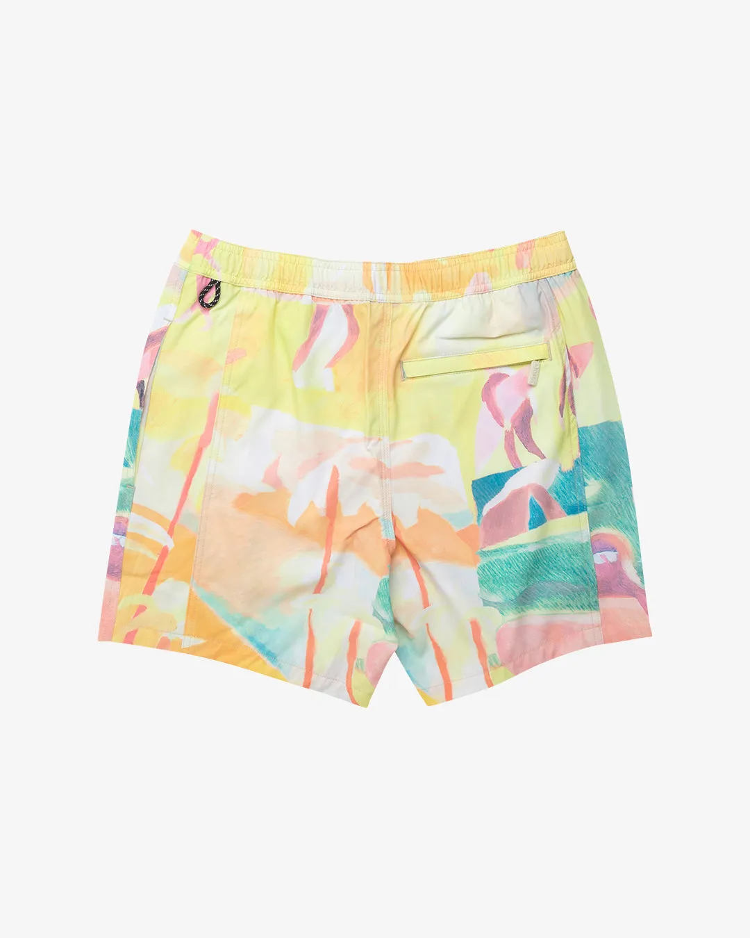 LOADED BOARDSHORT (17 INCH) - MULTI